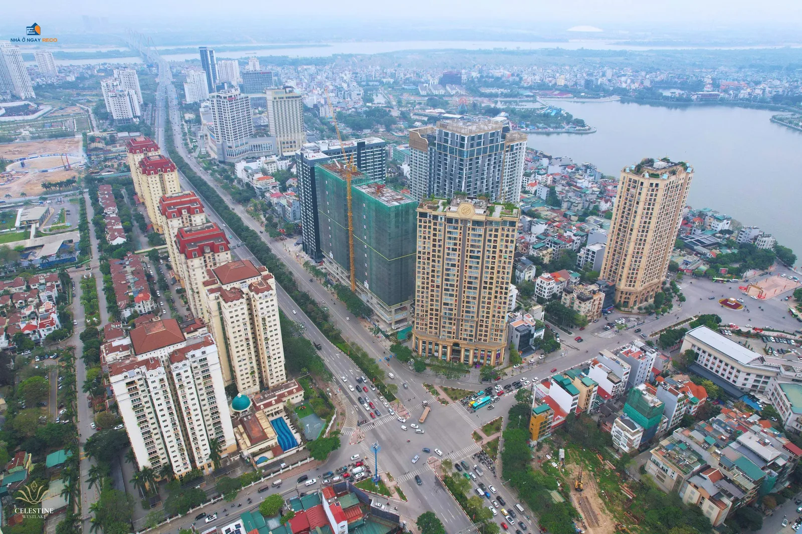 Hình thực tế 5 Celestine Westlake